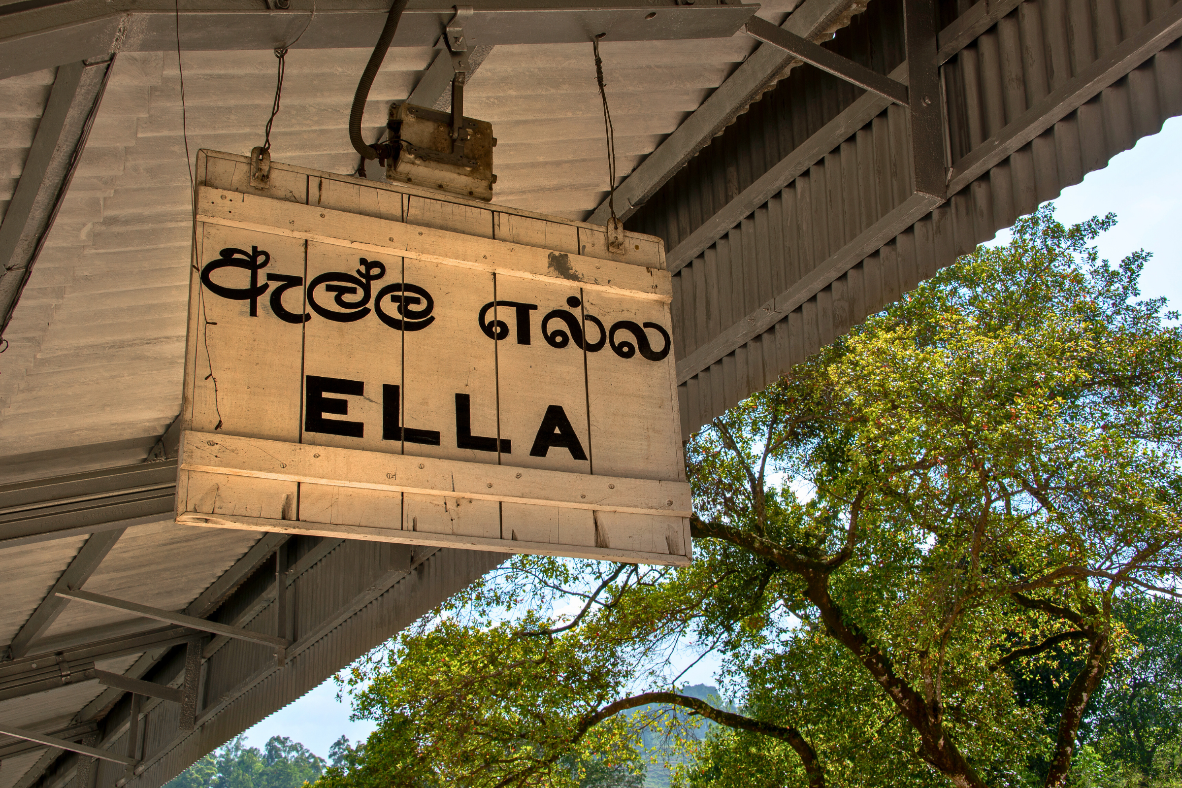 ella (4).webp